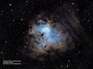 NGC 1491 Fossil Footprint Nebel (Hubble-Farbpalette)